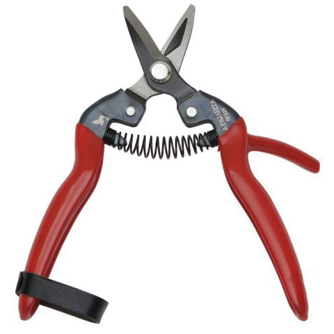 TIJERA CORTANARANJAS CURVA