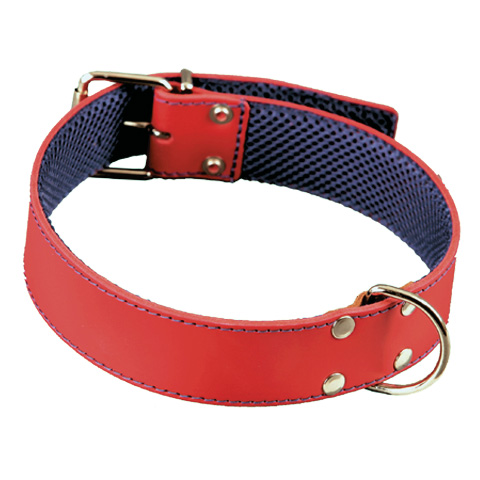 COLLAR PERRO CUERO DOBLE ROJO/AZUL