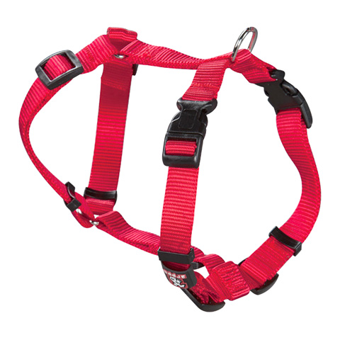 ARNES PERRO NYLON BASIC ROJO