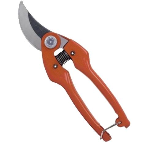 TIJERA PODAR 1 MANO P126