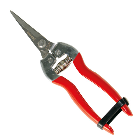 TIJERA PODAR 1 MANO RECOLECCION H/ESTRECHA CURVA INOX BRIXO