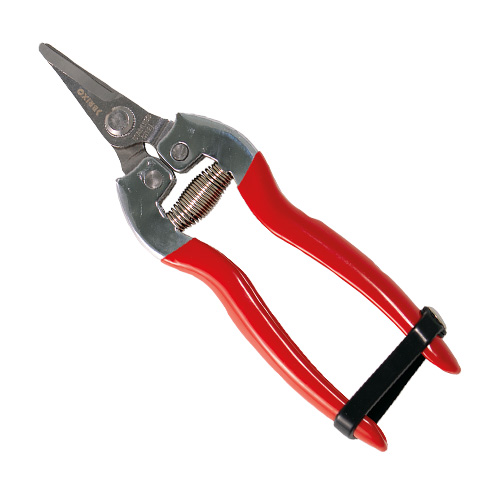 TIJERA PODAR 1 MANO RECOLECCION CITRICOS CURVA INOX. BRIXO