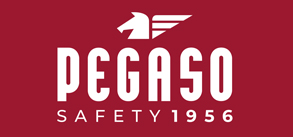 PEGASO